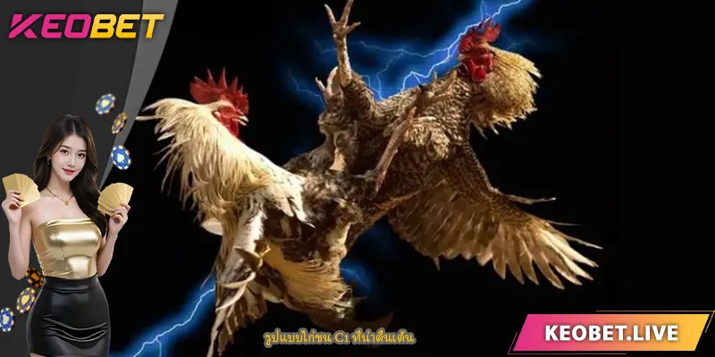 รูปแบบไก่ชน C1 ที่น่าตื่นเต้น