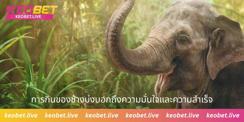 การกินของช้างบ่งบอกถึงความมั่นใจในตัวเองและความสำเร็จ