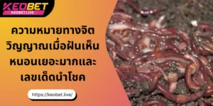 ความหมายทางจิตวิญญาณ เมื่อฉันฝันเห็นไส้เดือนเยอะมาก