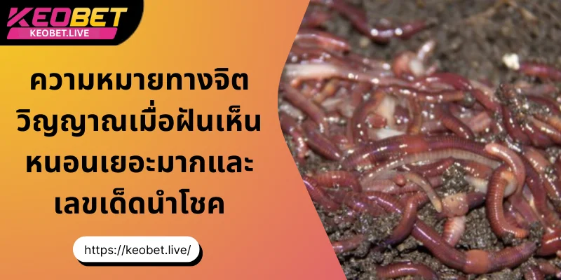 ความหมายทางจิตวิญญาณ เมื่อฉันฝันเห็นไส้เดือนเยอะมาก