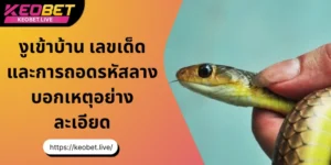 งูเข้าบ้าน เลขเด็ด