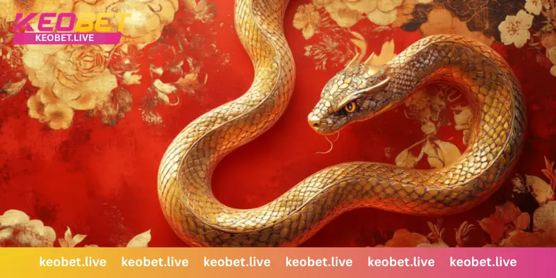 งูเข้าบ้าน เลขเด็ดสูตรจัดสรรงบเดิมพัน