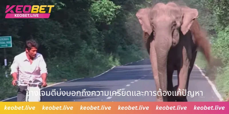 ช้างโจมตีบ่งบอกถึงความเครียดและการต้องแก้ปัญหา