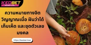 ฝันว่าได้เก็บเห็ด