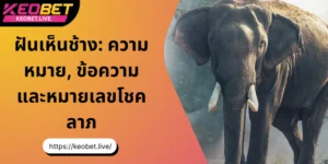 ฝันเห็นช้าง ความหมาย, ข้อความ และหมายเลขโชคลาภ